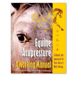 book-equineAcup